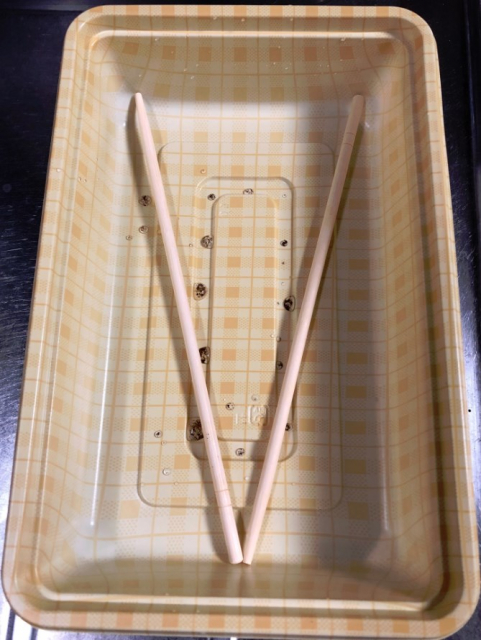 実生のキンカンを育ててみる　その2　タネをまいた　水受け皿の構造